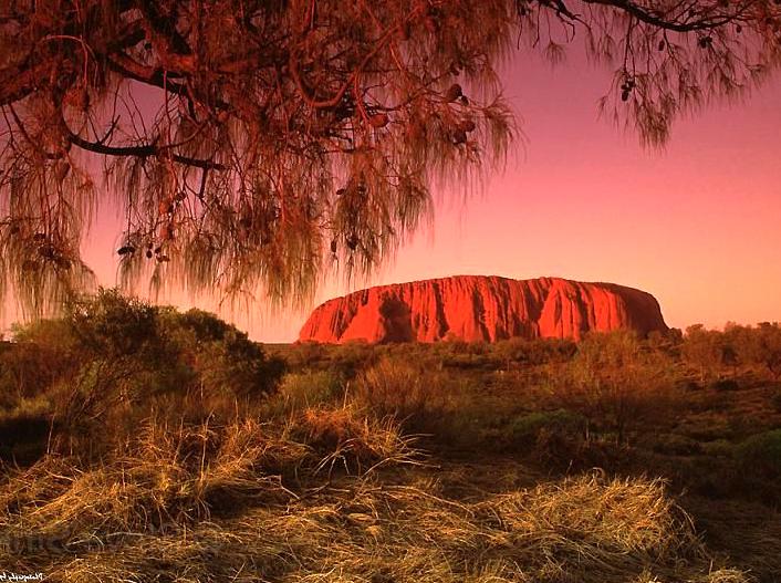 Exploring Historic Rock Art Locations with a Knowledgeable Expert