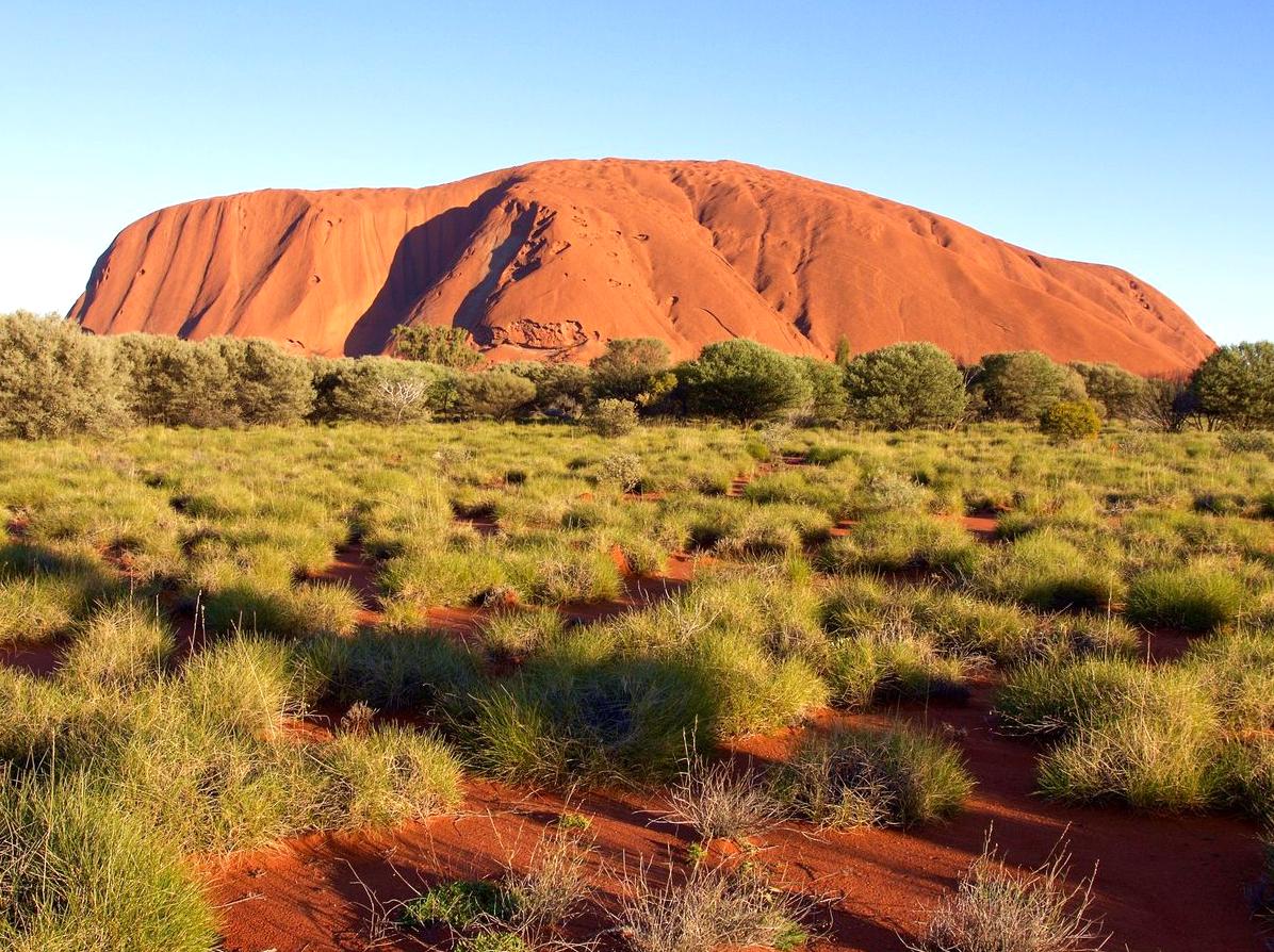 ewelme | Taking a 4WD Adventure Tour to Remote Parts of the Park