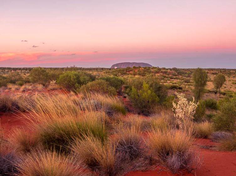 Exploring Breathtaking Views from the Piti Lookout Trail