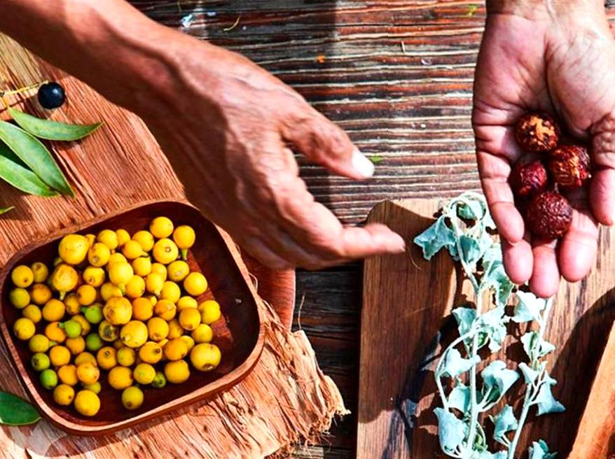 ewelme | Enjoying a Taste of Native Australian Cuisine at a Local Dining Venue