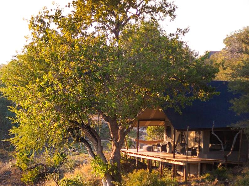 Discover Kakadu's Wildlife at Murwangi Safari Camp